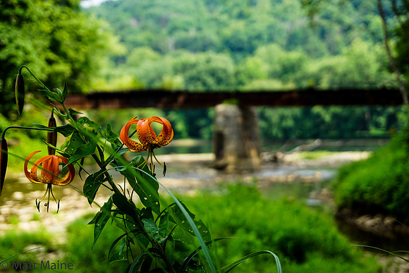 DSC07078-1