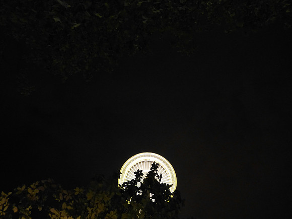 P1050218